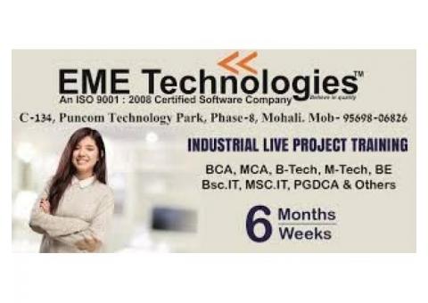 Industrial Training In Mohali