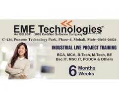 Best Industrial Training In Mohali