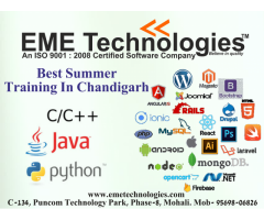 Best Summer Training In Chandigarh