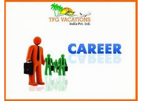 Online Marketing Work in Tourism Company Required Fresher