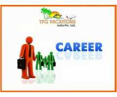 Online Marketing Work in Tourism Company Required Fresher