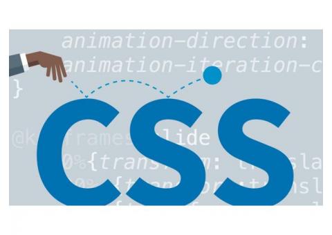 CSS Training in  Bangalore