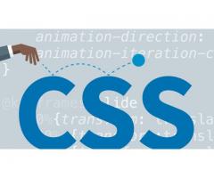 CSS Training in  Bangalore