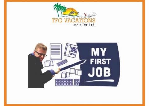 Online Marketing Work Online Jobs From TFG Vacations Pvt. Ltd.