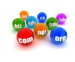 Check domain availability | Sathya Technosoft