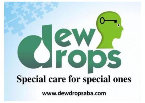 Dew Drops Child Health Care ABA Therapy and Autism