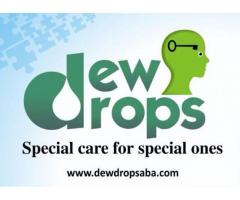 Dew Drops Child Health Care ABA Therapy and Autism