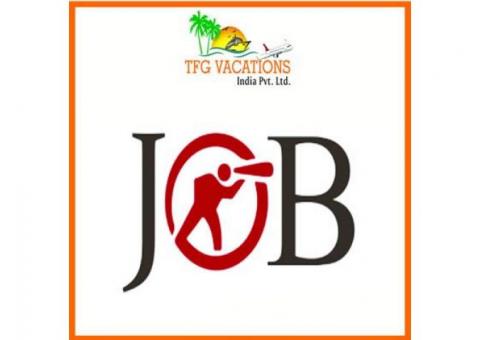 Part Time Work In Tourism Company