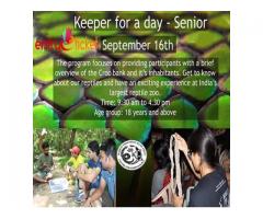 Senior Keeper For A Day in Chennai  | Entryeticket