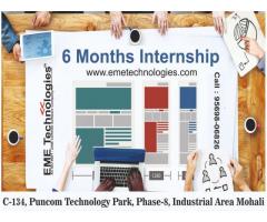 6 Month industrial Training In Mohali